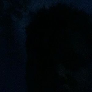 Meet your Posher, Alonzo